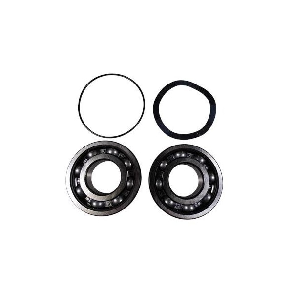 Pump Repair Kits- Kit, Ball Bearing 6309.Z.C4/6309.Z.C4, Spare Part.